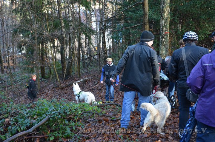 Wandertag 2012 - 054.JPG